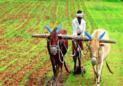PM Kisan 15th Installment Released Date Latest Update Complete E-KYC Process