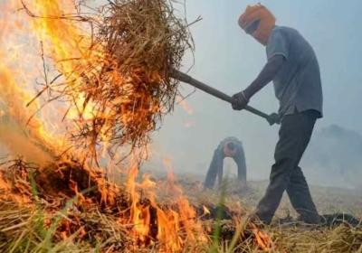 Complete ban on stubble burning in this district of Haryana