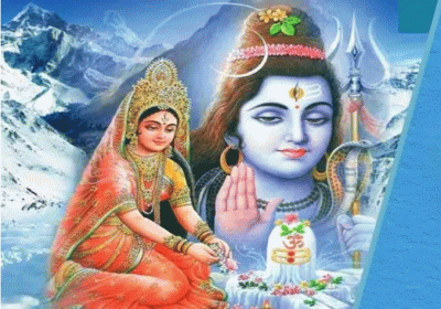 Pardosh