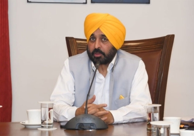 Punjab CM Bhagwant Mann Statements regarding sowing of paddy