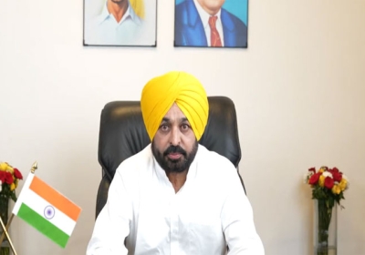 Punjab CM Bhagwant Mann Tweet For Jobs