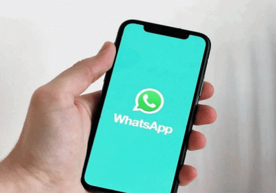 Punjab Government GST Whatsapp Number
