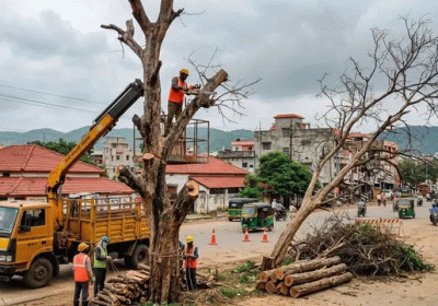CM Hemant Soren Directs Immediate Action.