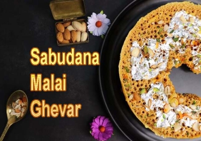 How To Make Sabudana Malai Ghevar Easy Recipe 