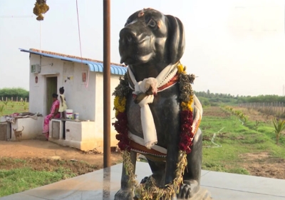 Tamil Nadu Man built temple of his pet dog in memory 