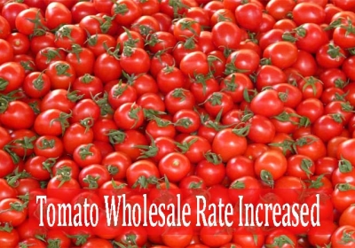 Tomato Wholesale Rate Increased Rapidly 