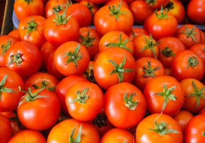  Karnataka Tomatoes Stolen News