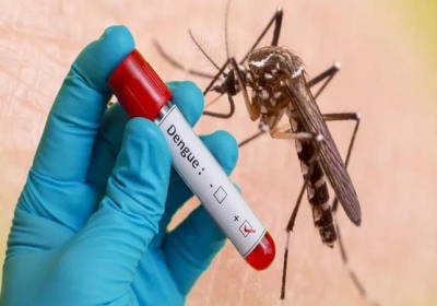 Above 50 Thousand Cases of Dengue Increase in Sri Lanka This Year