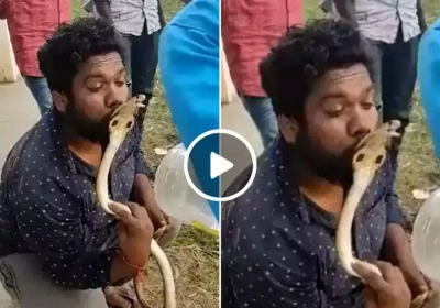 Young Man Kissed To Snake