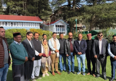 Congress Office-bearers Meet Pratibha Singh
