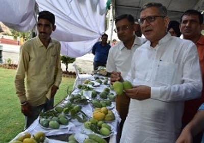 पर्यटन मंत्री श्री कंवरपाल ने पिंजौर के यादविन्द्रा गार्डन में 29वें मैंगो मेले का किया शुभारंभ