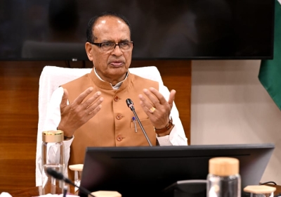 Officials Will Not Purchase Gold for One Year