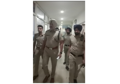 20 Immigration Companies in Chandigarh