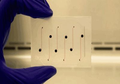 Indian origin researchers are working on vessel-chip technology for testing medicines
