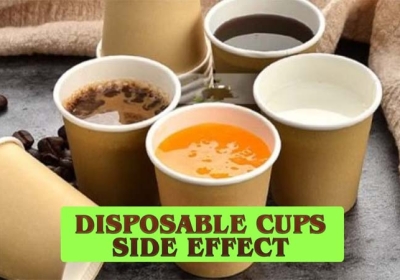 Plastic Disposable Cups Side Effects