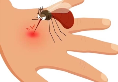 Dengue Patient Increase in Ludhiana 