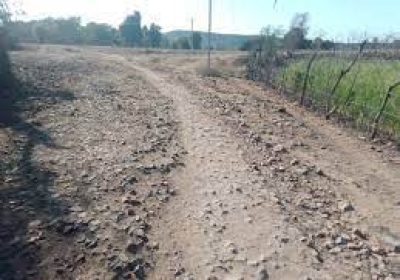 गांव मकड़ा के श्मशानघाट जाने वाली सड़क को दुरुस्त किया जाए
