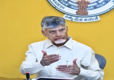 Special attention should be paid to the Electricity Department