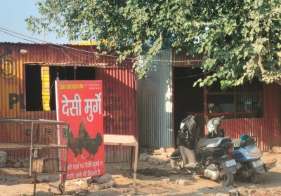 Ban on Running Meat Shops