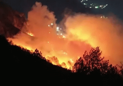 Massive Fire in Nainitals Krishnapur Forests