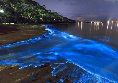 Beautiful Beaches In India That Glow At Night 