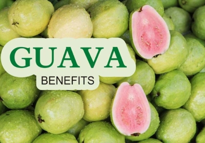 Health Benefits of Guava Fruits and Its Leaves