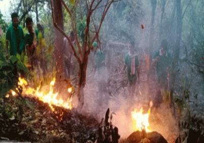 Two thousand acres of fire spread in the famous Parasnath hill of Jharkhand