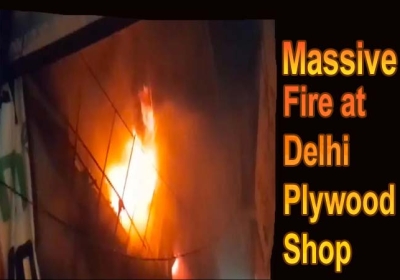 Massive Fire Breaks Out At Plywood Shop In Delhi 