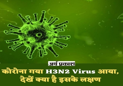 India report one died with H3N2 Virus see what are the symptoms?