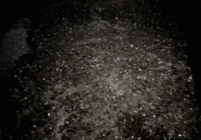 Hail fell after strong winds in Panchkula