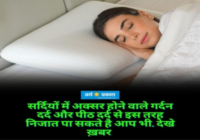 Neck pain and back pain will go if you take these pillow