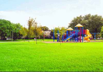 Big manipulation in the maintenance of neighborhood parks!