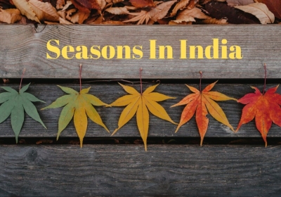 Seasonal Changes in India: The Beauty and Impact of Four Seasons 