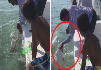 Shark bitten man finger