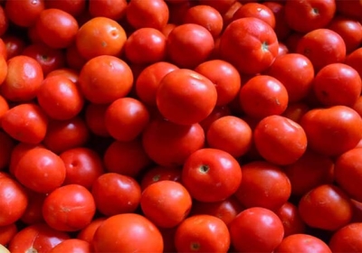 Tomato Price Increased