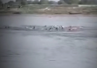 Vrindavan Boat Tragedy