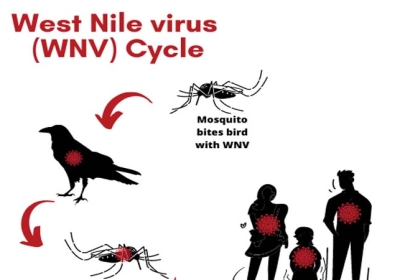 West Nile Virus