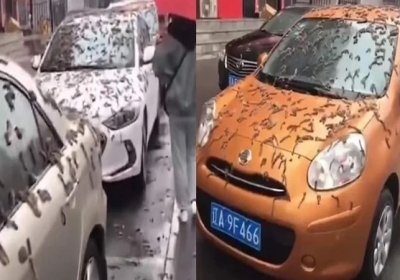 Beijing residents use umbrellas as city hit by rain storm of worms