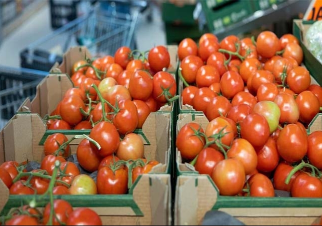 Tomato prices down