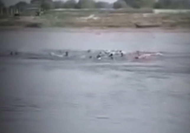 Vrindavan Boat Tragedy