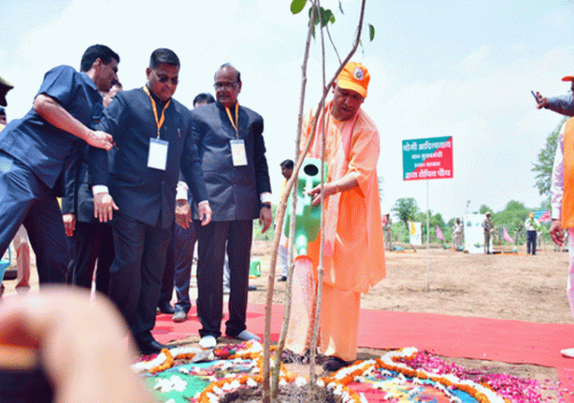 The Chief Minister inaugurated the tree plantation campaign 2023