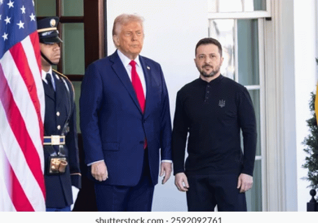 trump zelensky meeting