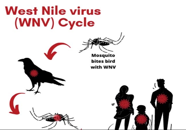 West Nile Virus