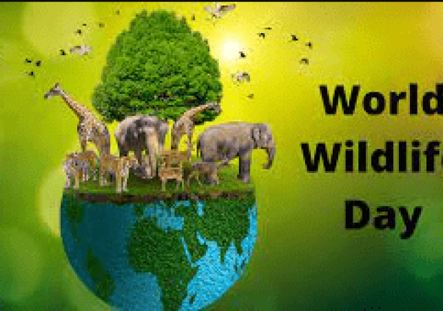  World Wildlife Day