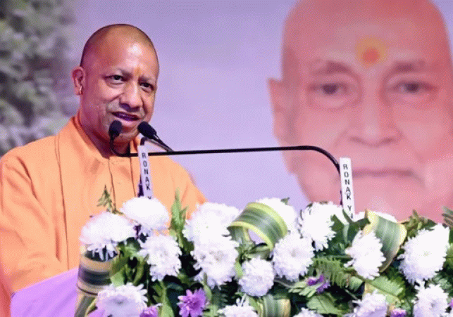 yogi-(8)-1773224757768_v