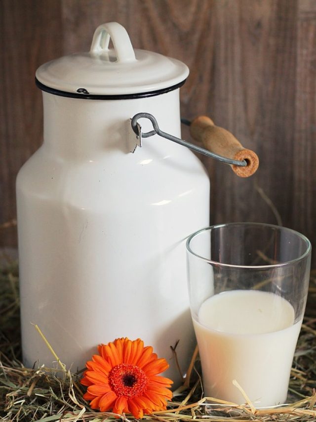 इन चीज़ो को दूध में मिलाकर पीने से मिलते है सेहत को दुगुने फायदे
